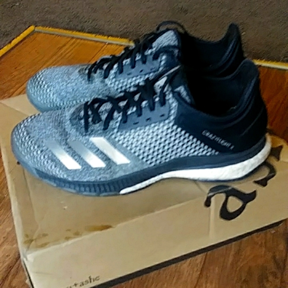 Adidas Crazy Flight shoes